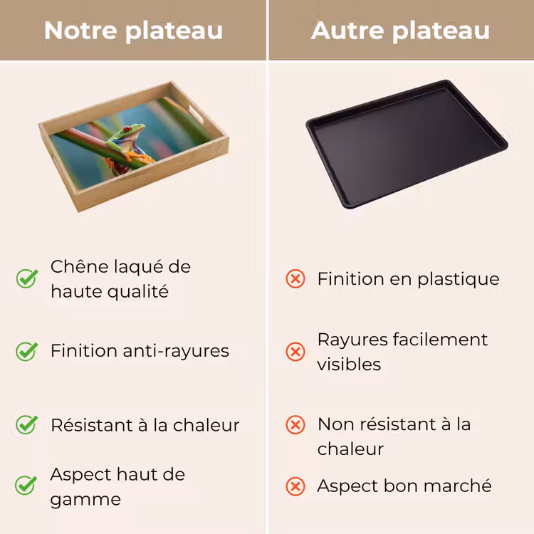 Plateau - Grenouille colorée - Tige verte - Alerte — 9