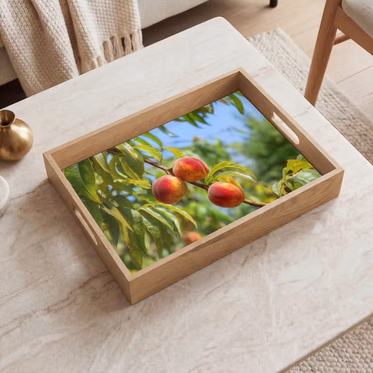Plateau - Pêche - Feuilles - Soleil — 2