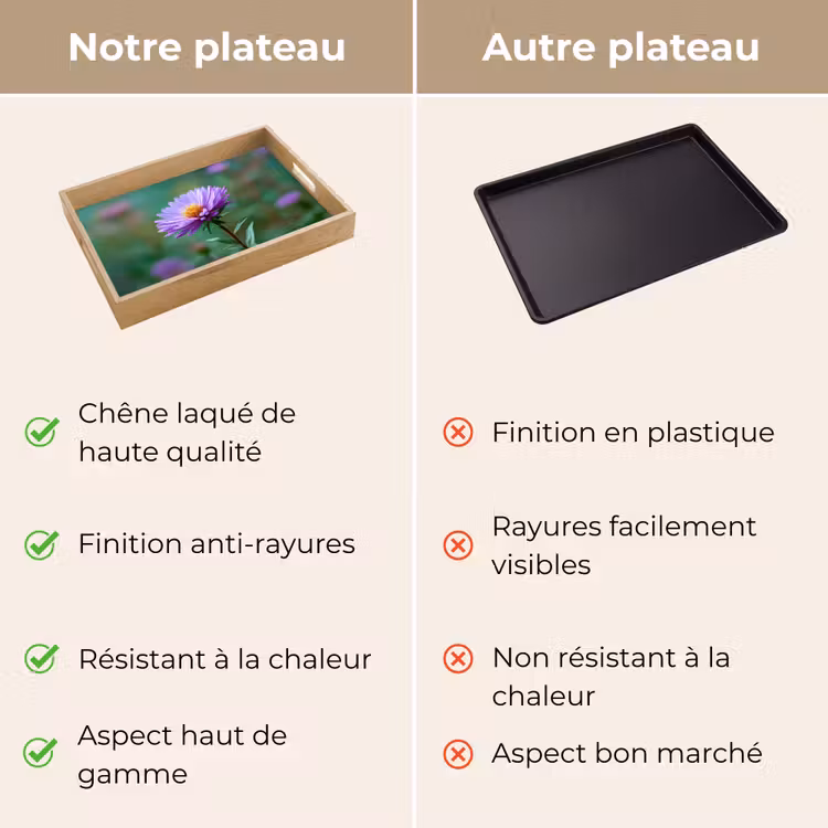 Plateau - Aster - Violet - Fleur - Pétales — 9