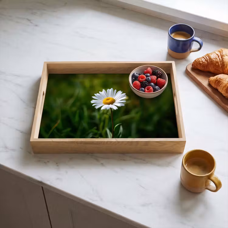 Plateau - Blanc - Marguerite - Fleur - Herbe — 3