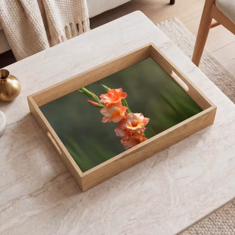 Plateau - Fleur - Glaïeul - Rose saumon — 2