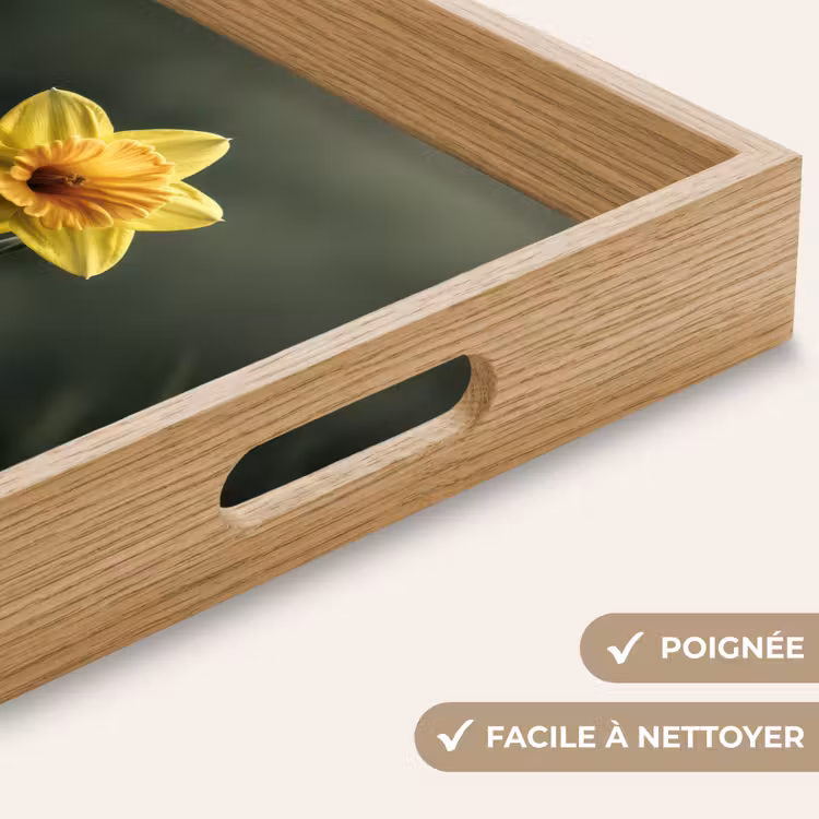 Plateau - Fleur - Narcisse - Herbe - Jaune — 8
