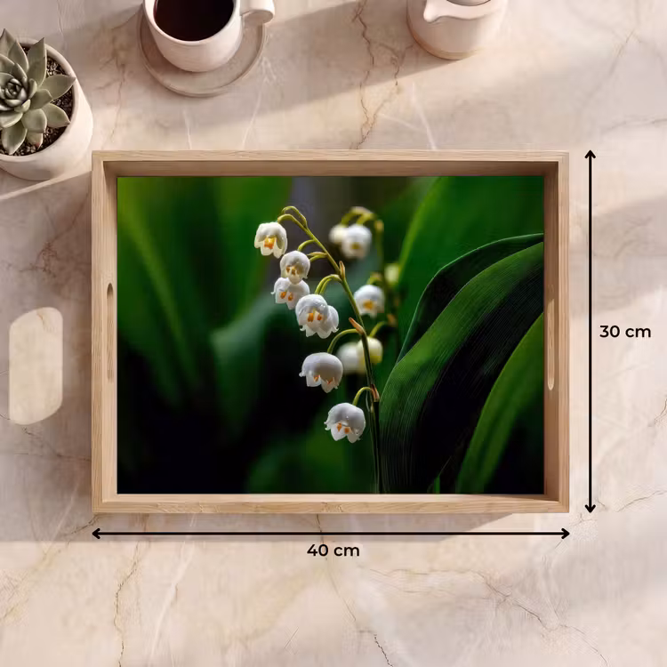 Plateau - Fleurs - blanches - feuilles - lys — 7