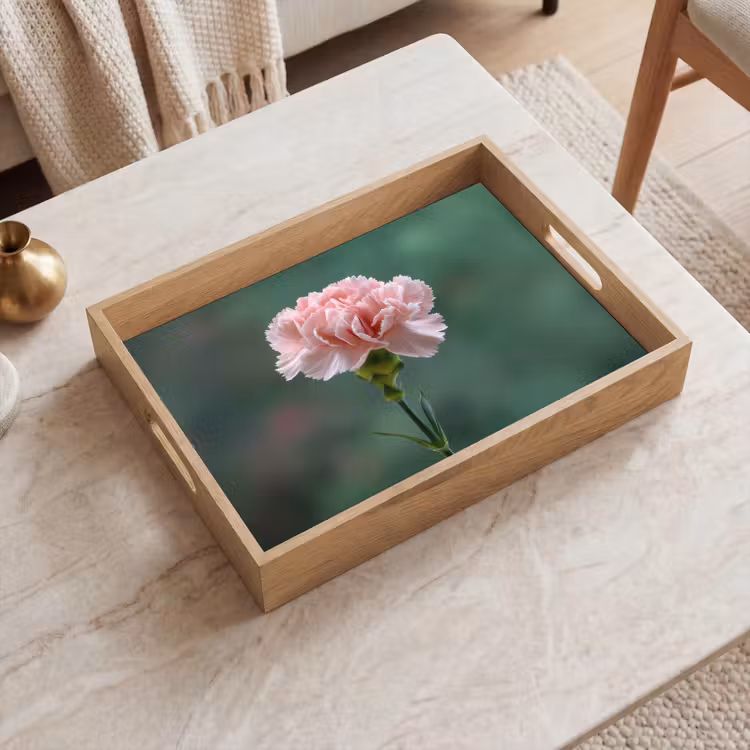 Plateau - Oeillet - Rose - Pétales — 2