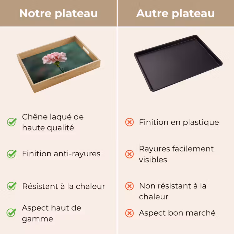 Plateau - Oeillet - Rose - Pétales — 9