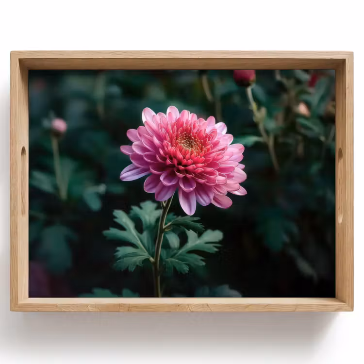 Plateau - Feuille - Chrysanthème - Rose - Ombre — 1