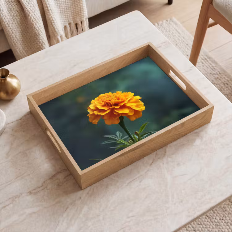 Plateau - Pétales - Africain - Orange - Flou — 2