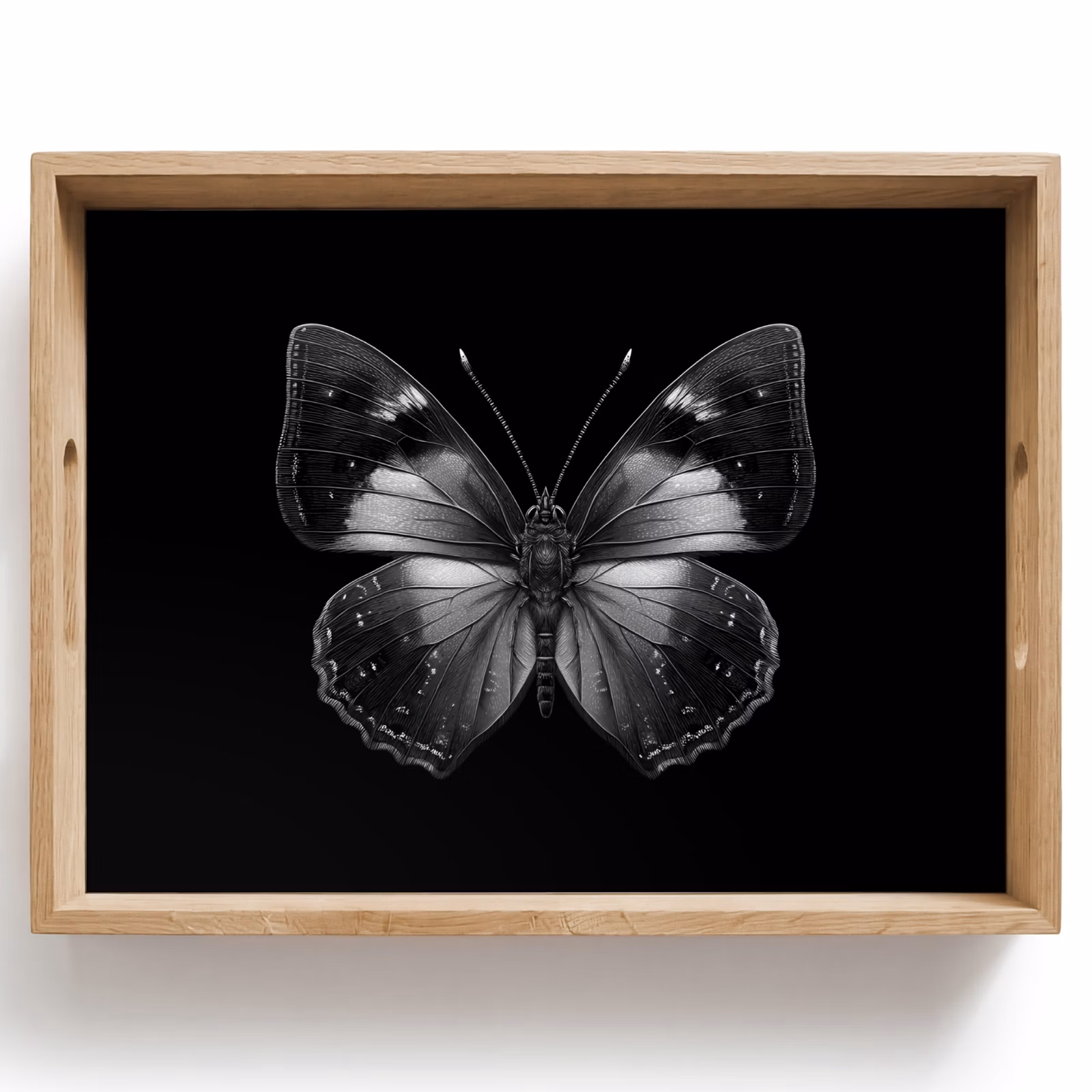 Plateau - Papillon - Gris - Mystérieux — 1
