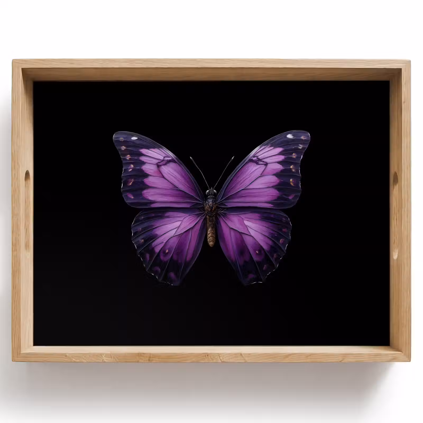 Plateau - Papillon - Violet - Vivid — 1