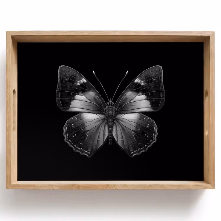 Plateau - Papillon - Gris - Mystérieux — 1