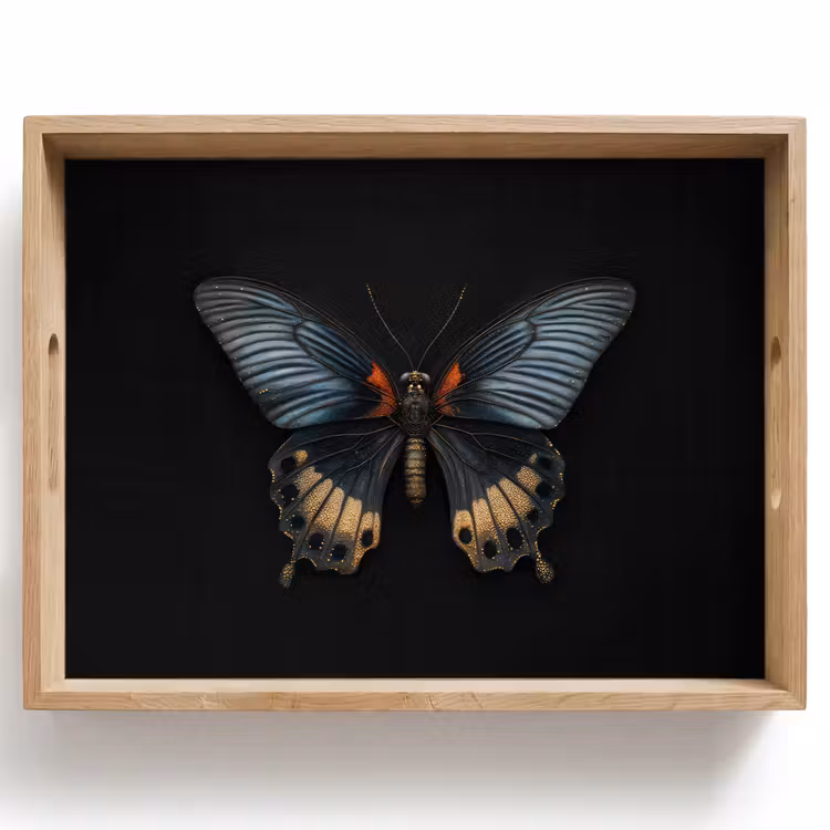 Plateau - Papillon - Métallique - Motif géométrique — 1