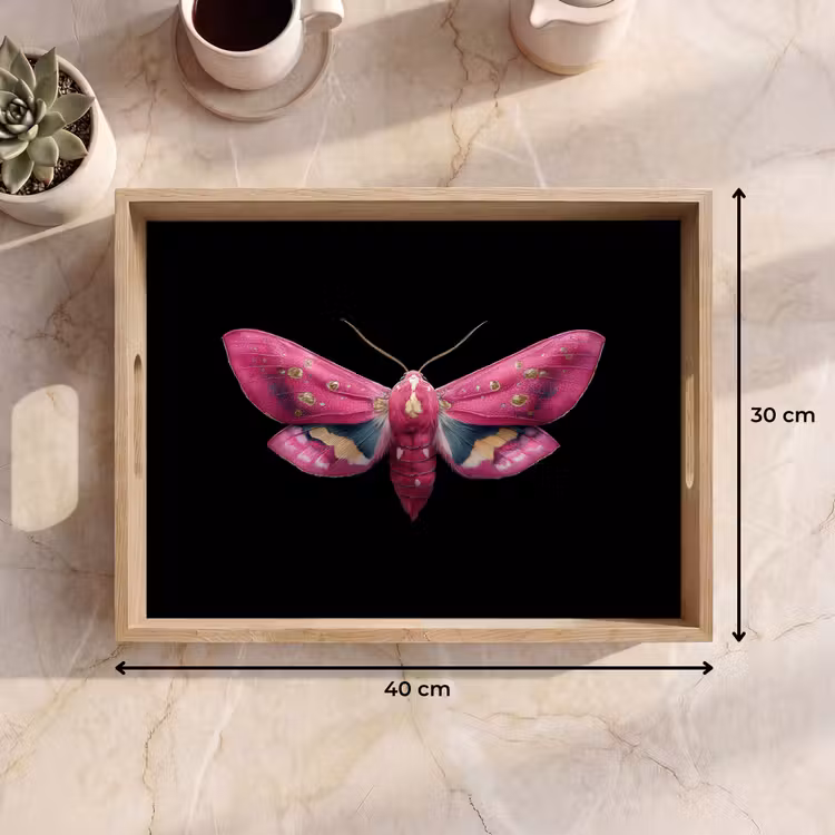 Plateau - Papillon - Rose - Papillon de nuit — 7