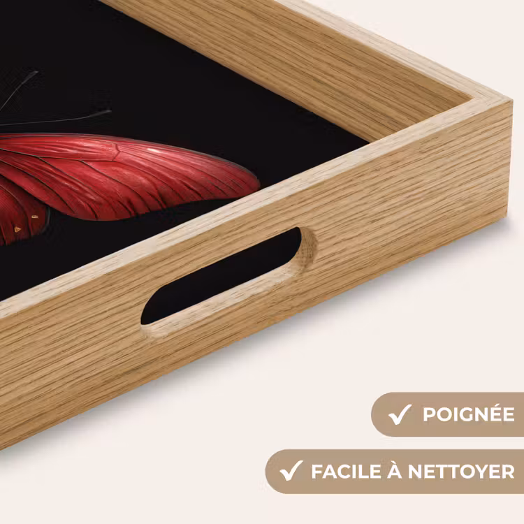 Plateau - Papillon - Rouge - Minimaliste — 8