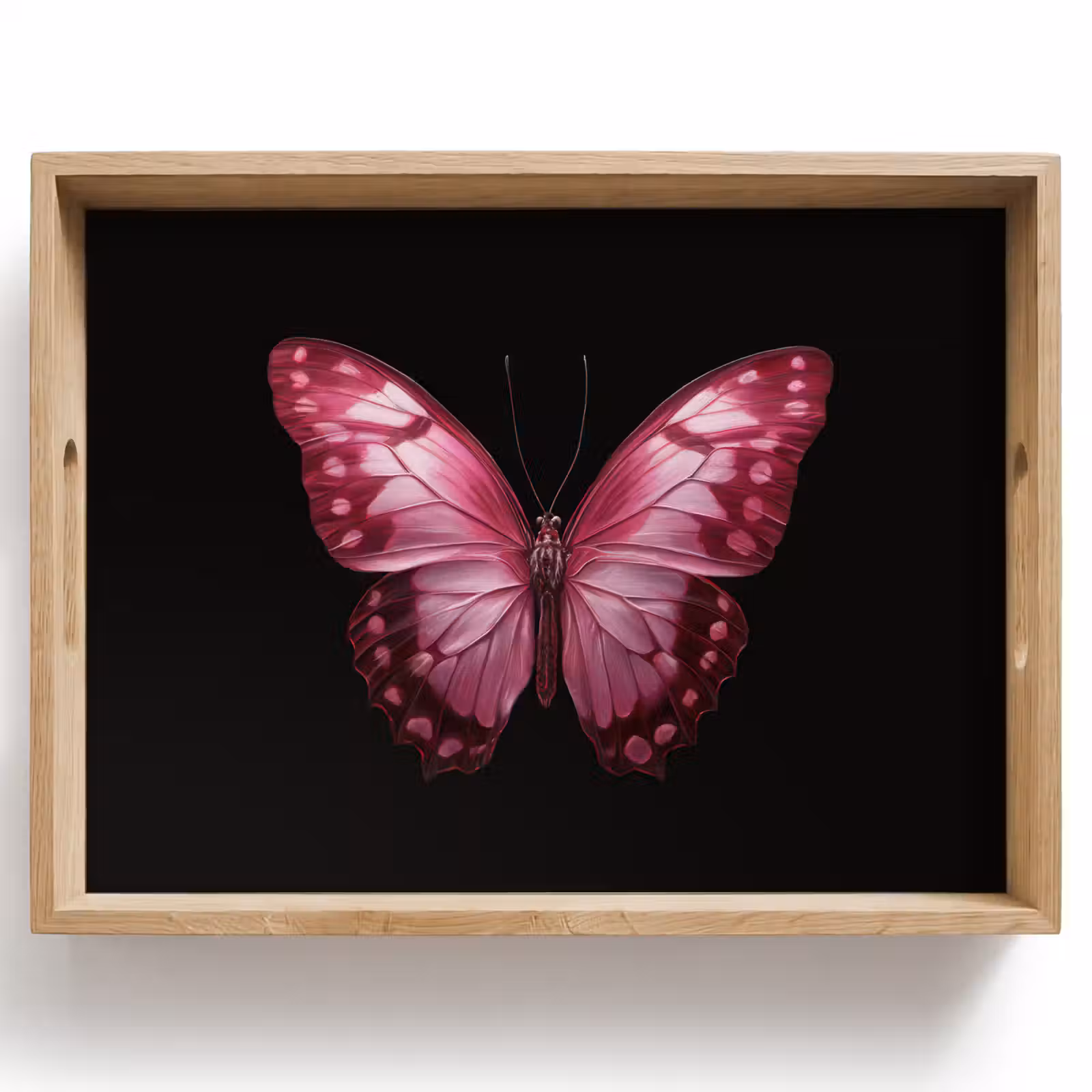 Plateau - Papillon - Fuchsia - Graphic — 1
