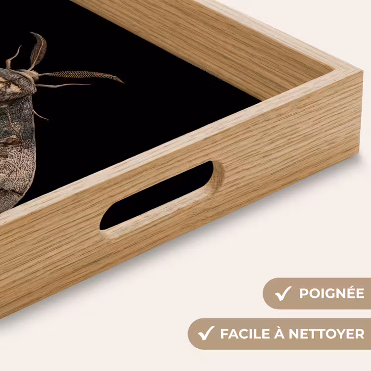Plateau - Papillon de nuit - Feuilles - Gris — 8