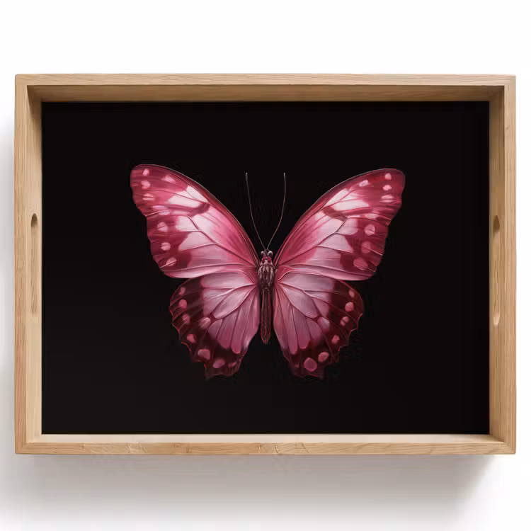 Plateau - Papillon - Fuchsia - Graphic — 1