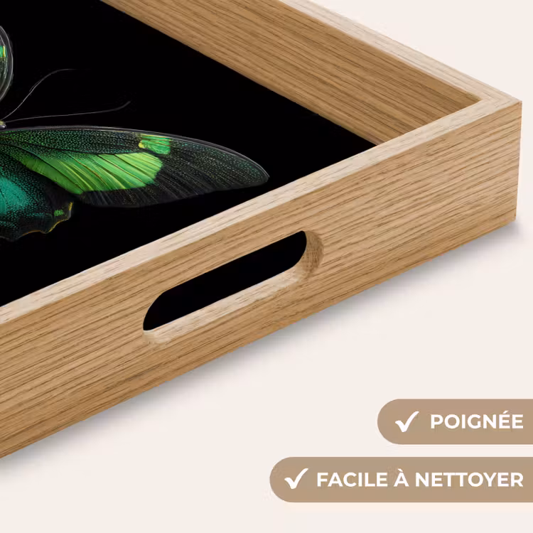 Plateau - Papillon - Vert - Attire l'attention — 8