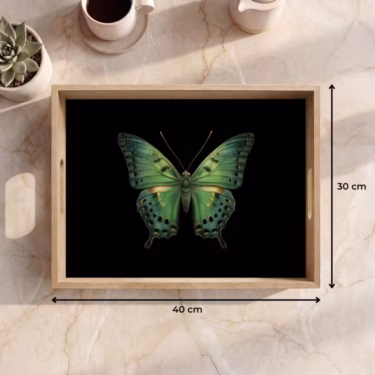 Plateau - Papillon - Vert - Profondeur — 7