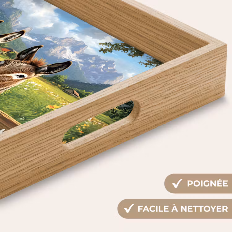 Plateau - Ânes - Fleurs - Étés — 8