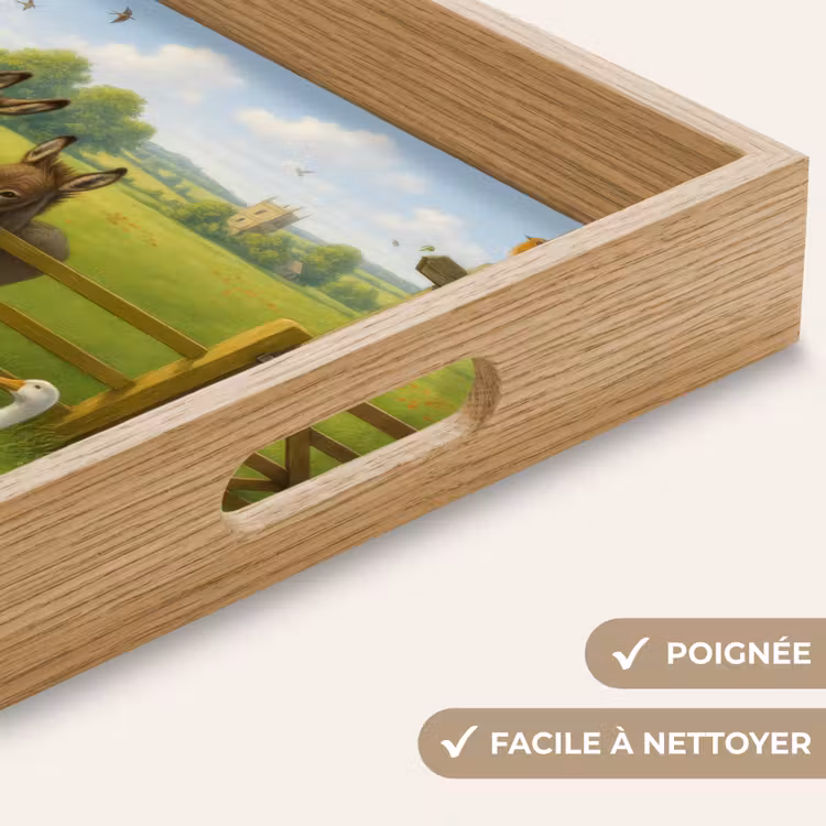 Plateau - Ânes - Oies - Coloré — 8