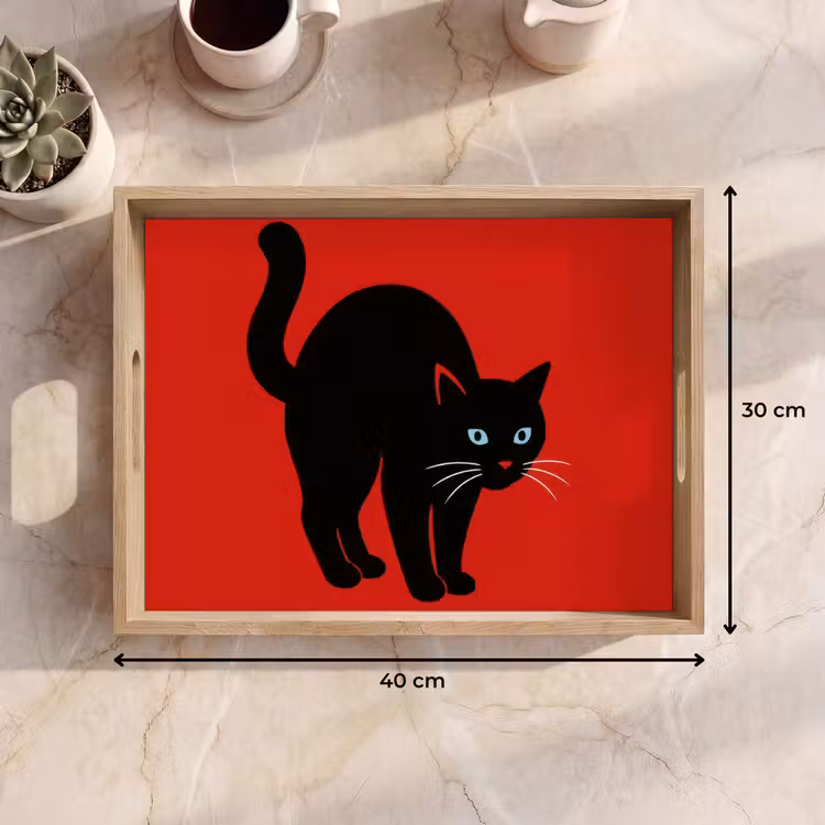 Plateau - Chat - Noir - Queue — 7