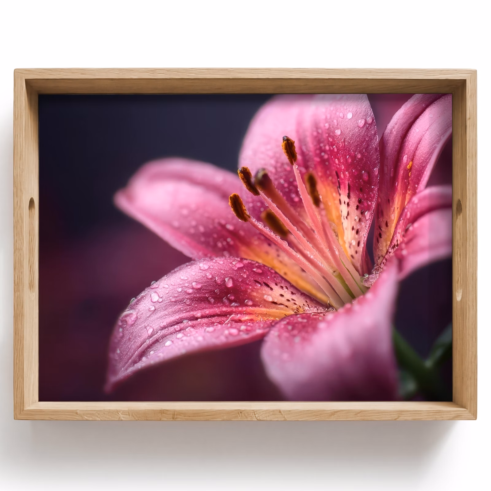 Plateau - Rose - lys - gouttes de rosée — 1