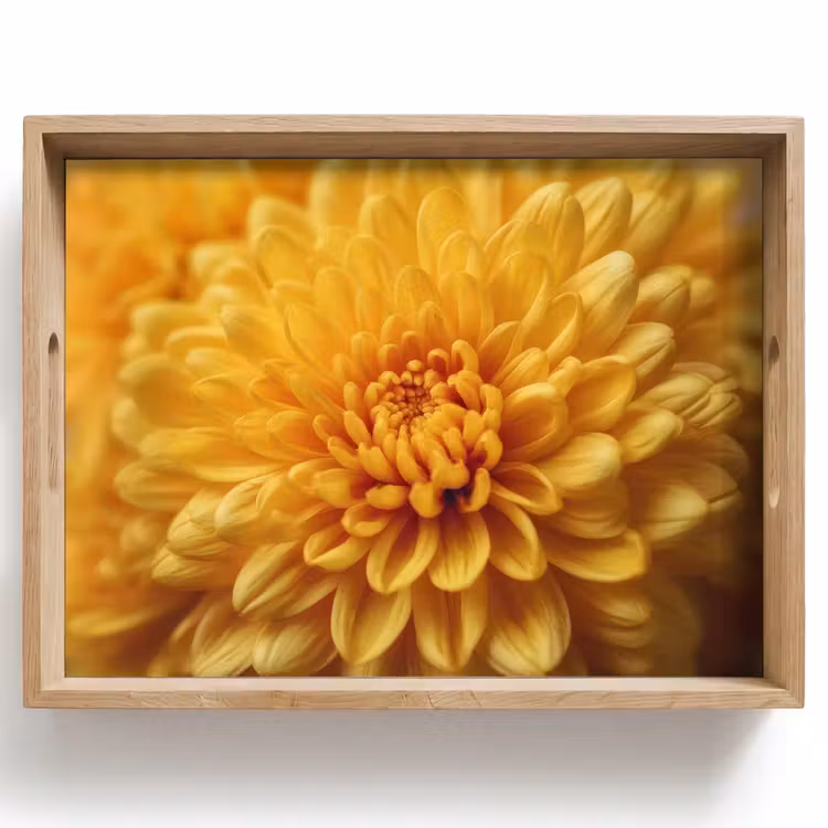 Plateau - Jaune - Chrysanthème - Douceur — 1