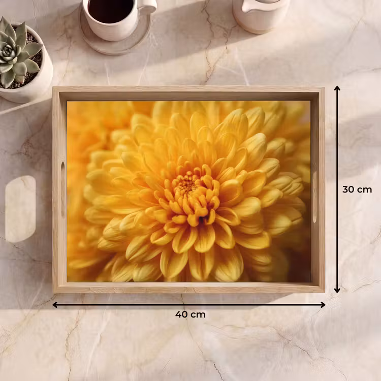 Plateau - Jaune - Chrysanthème - Douceur — 7