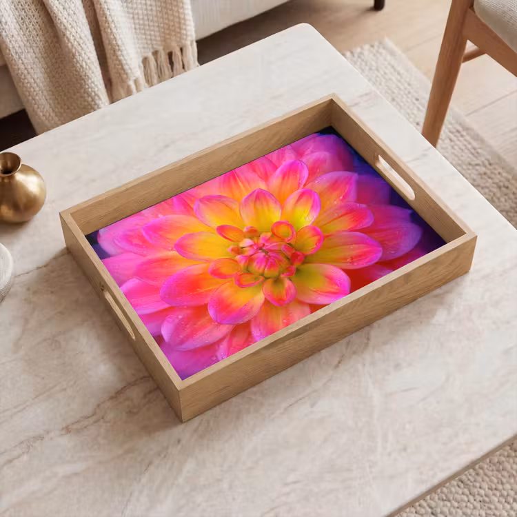 Plateau - Rose - Dahlia - Coloré — 2