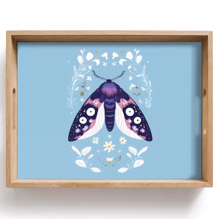 Plateau - Feuilles - Blanc - Papillon - Insecte — 1