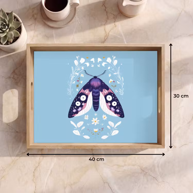 Plateau - Feuilles - Blanc - Papillon - Insecte — 7
