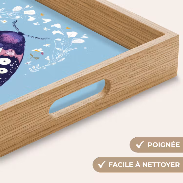 Plateau - Feuilles - Blanc - Papillon - Insecte — 8