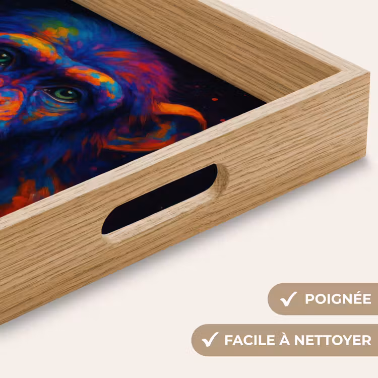 Plateau - Coloré - Singe - Abstrait — 8
