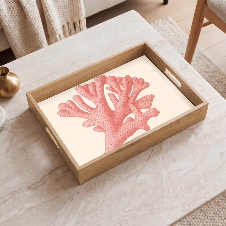 Plateau - Corail - Pois - Rose — 2