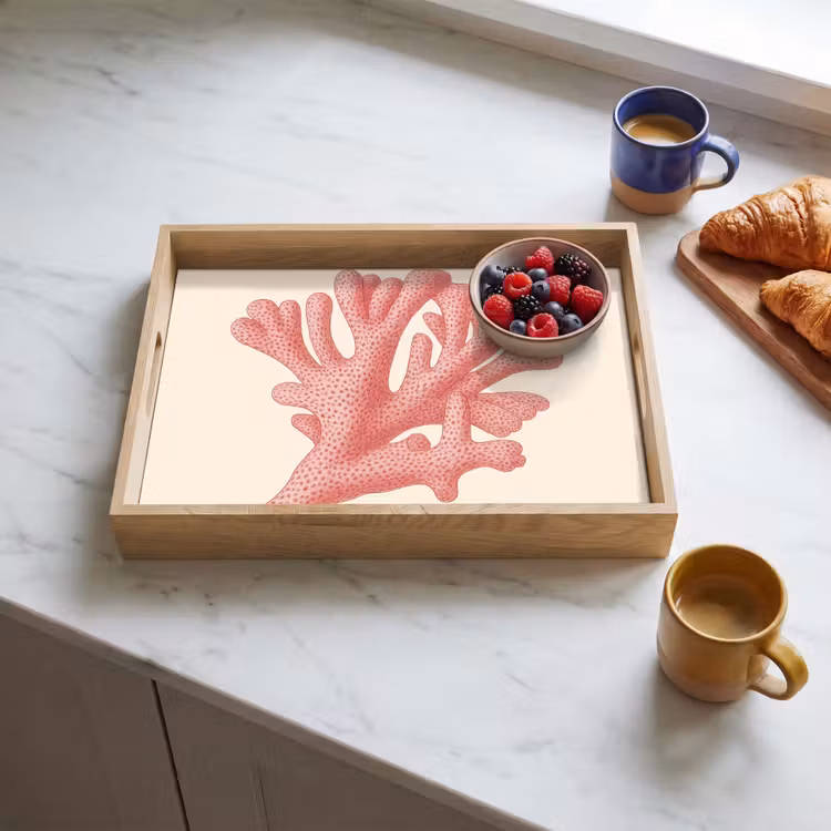 Plateau - Corail - Pois - Rose — 3