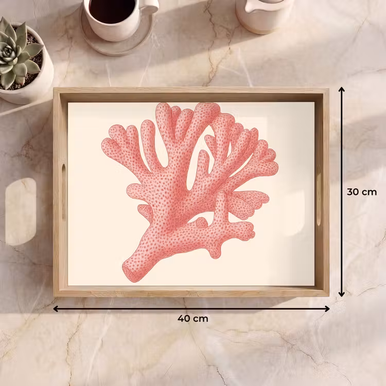 Plateau - Corail - Pois - Rose — 7