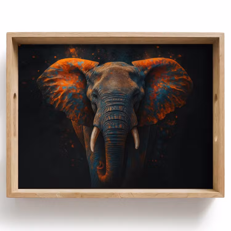 Plateau - Éléphant - Orange - Oreilles — 1