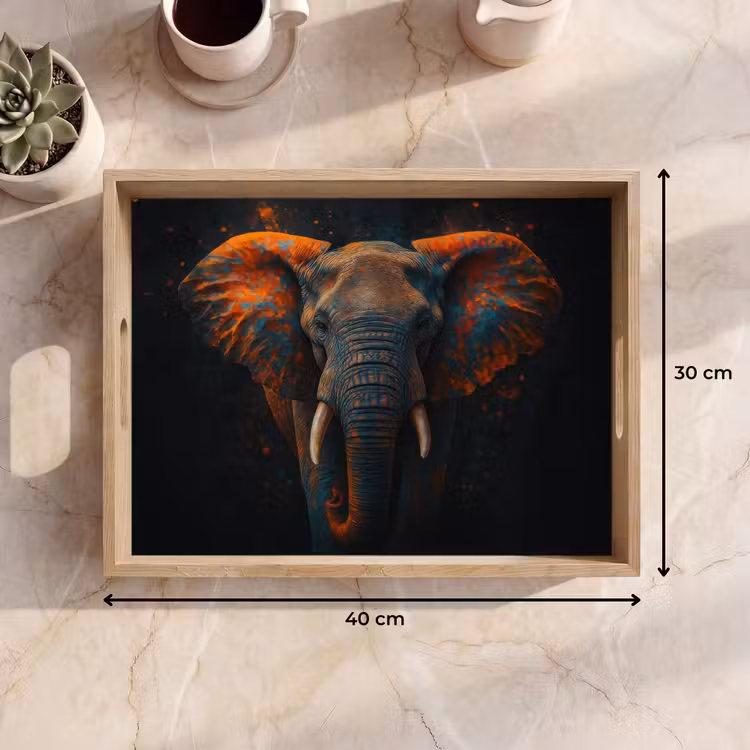 Plateau - Éléphant - Orange - Oreilles — 7