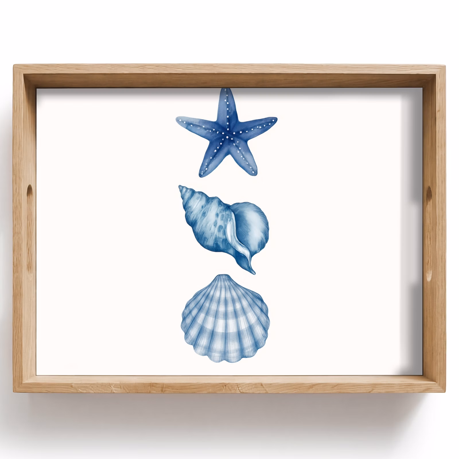 Plateau - Étoile de mer - Coquillages - Bleu — 1