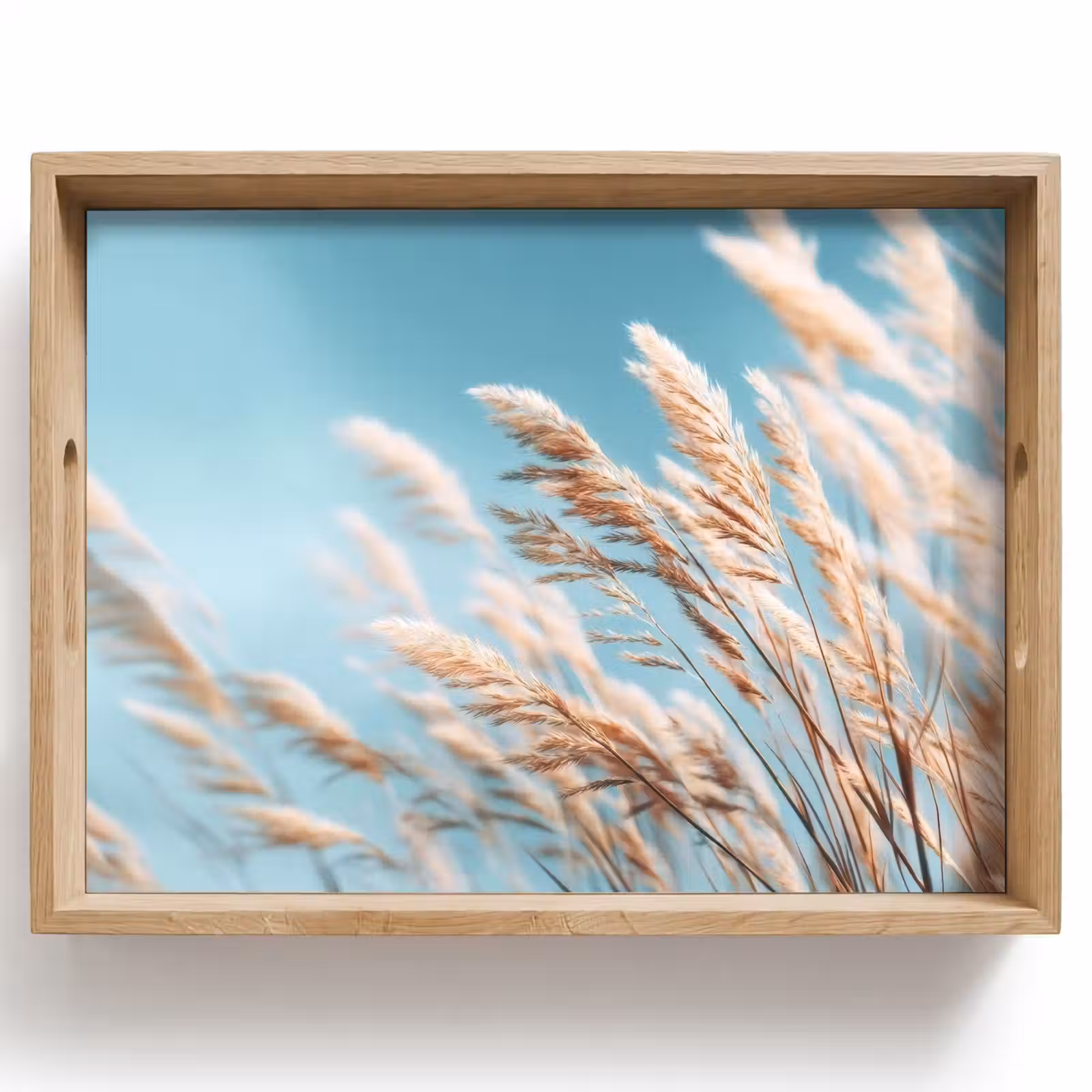 Plateau - Graminées ornementales - Vent - Brun clair — 1