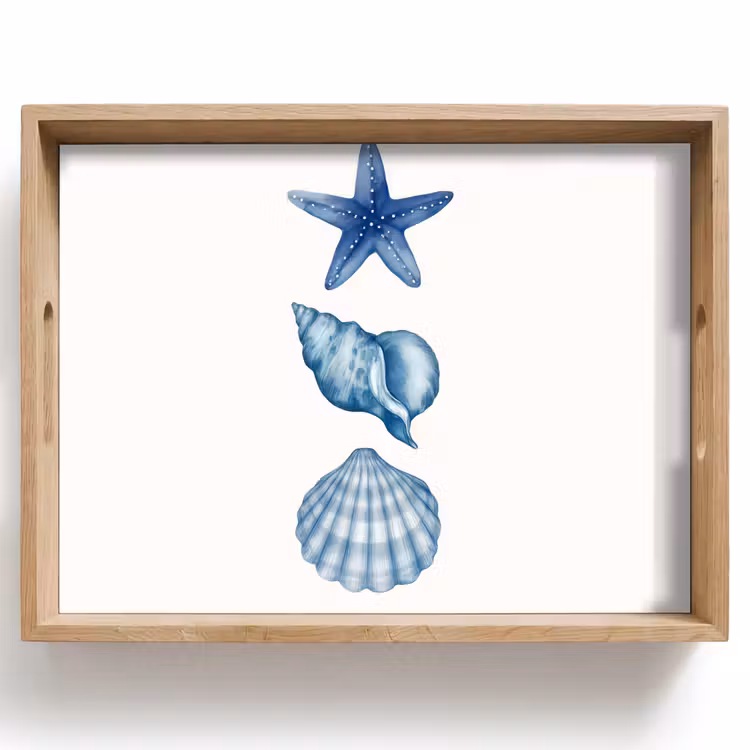 Plateau - Étoile de mer - Coquillages - Bleu — 1