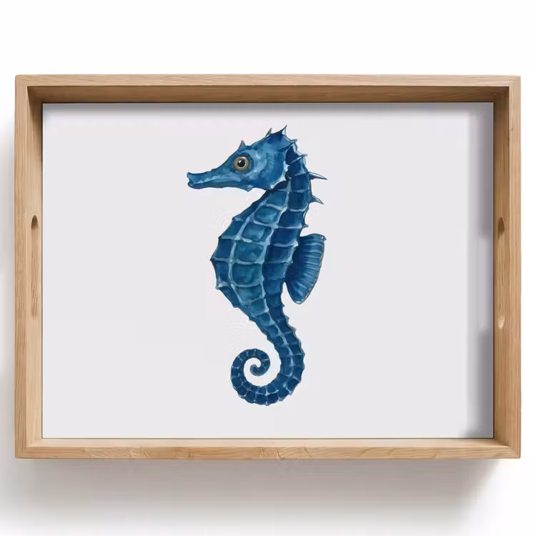Plateau - Hippocampe - Queue - Bleu — 1