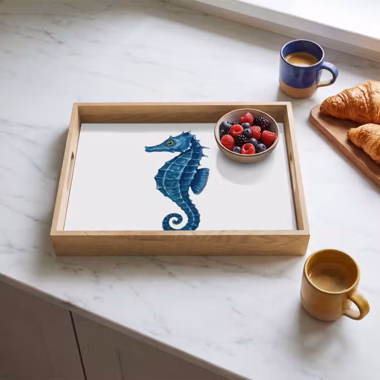 Plateau - Hippocampe - Queue - Bleu — 3