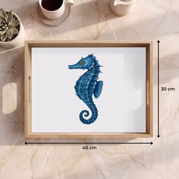 Plateau - Hippocampe - Queue - Bleu — 7