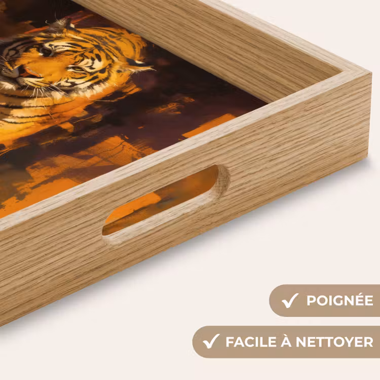 Plateau - Tigre - Peint - Orange - Coups de pinceau — 8