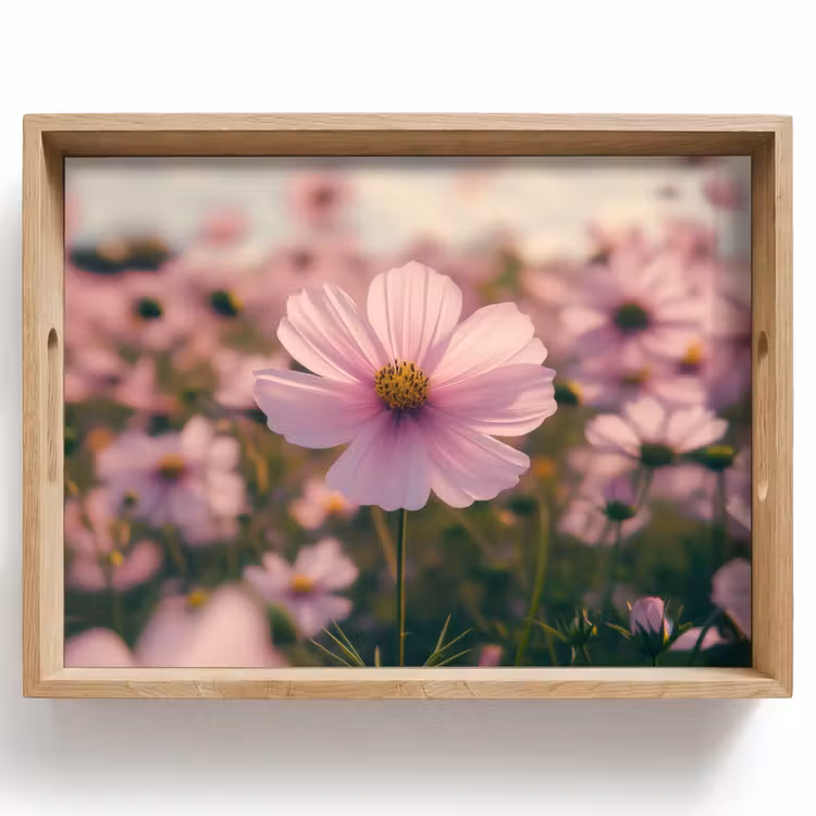 Plateau - Fleurs - violet - flou — 1