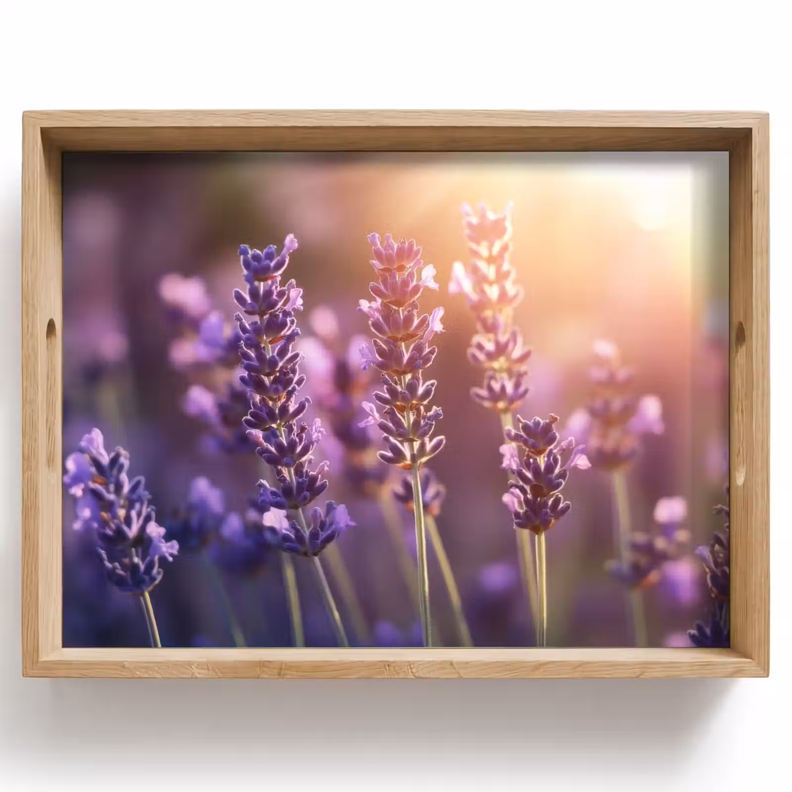 Plateau - Fleurs de lavande - Pourpre - Soleil — 1