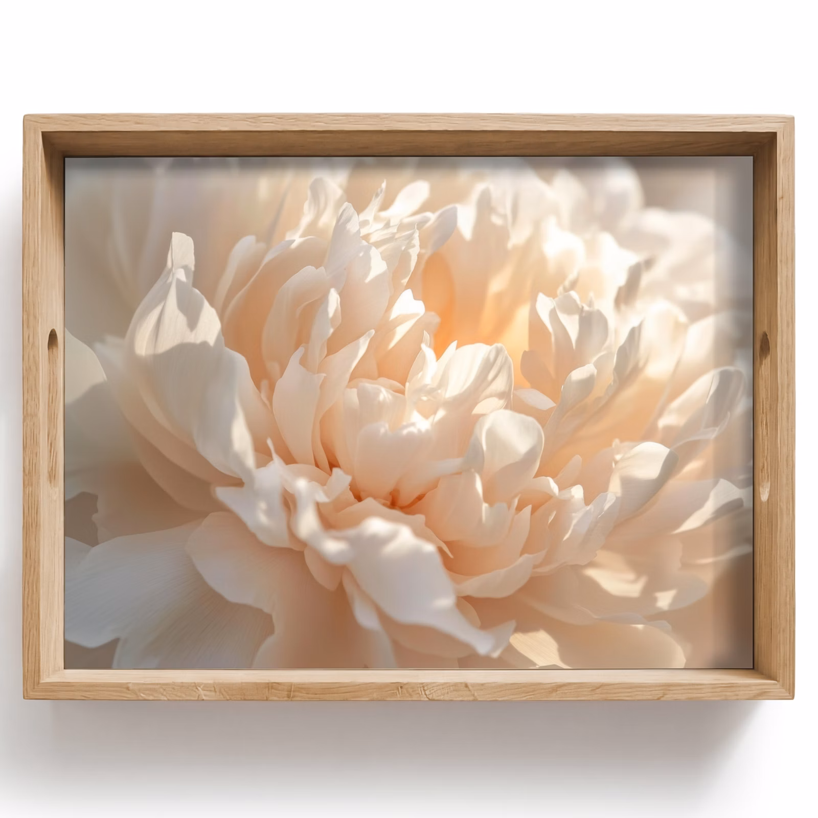 Plateau - Gros plan - Pivoine - Rose clair — 1