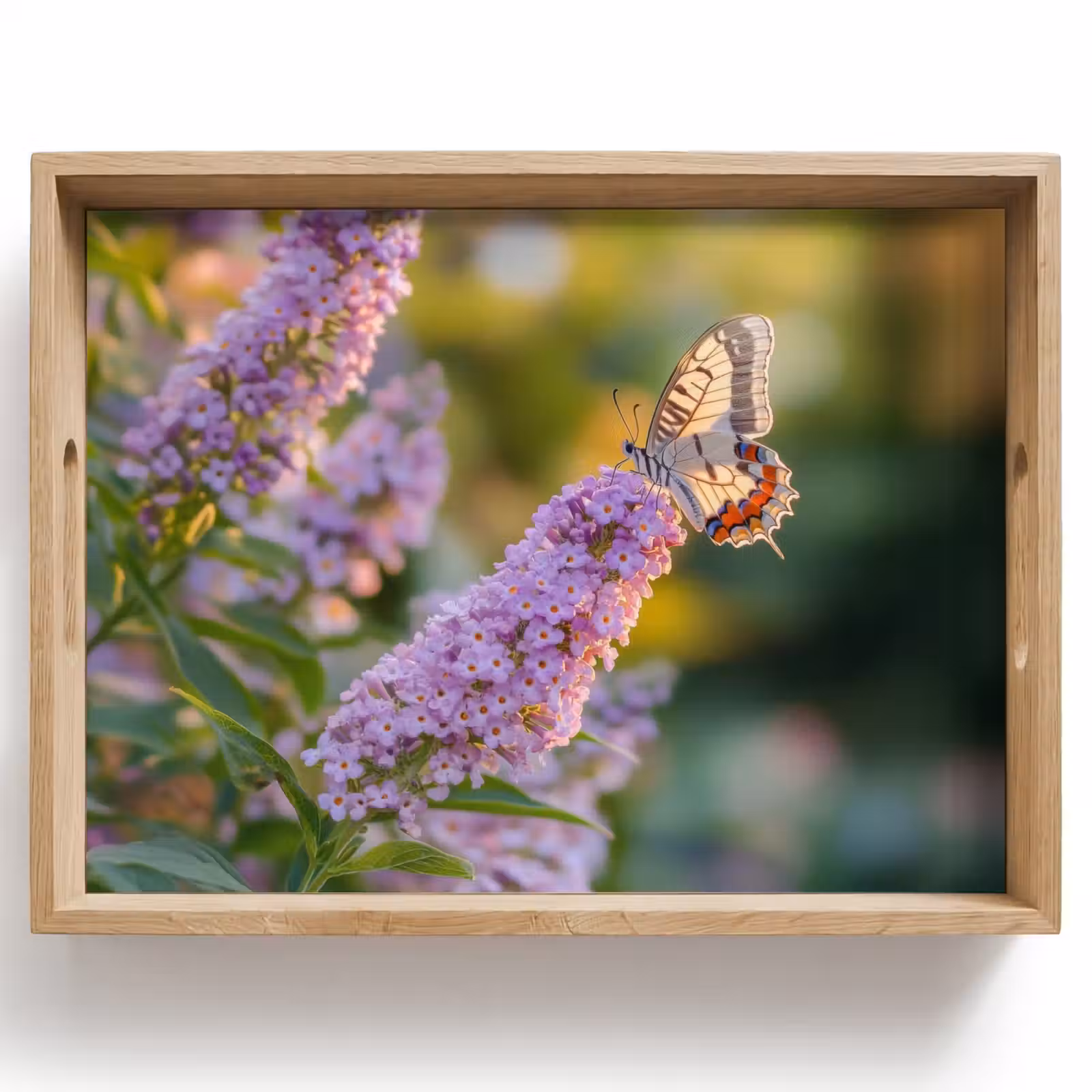 Plateau - Orné - Papillon - Violet - Fleurs — 1