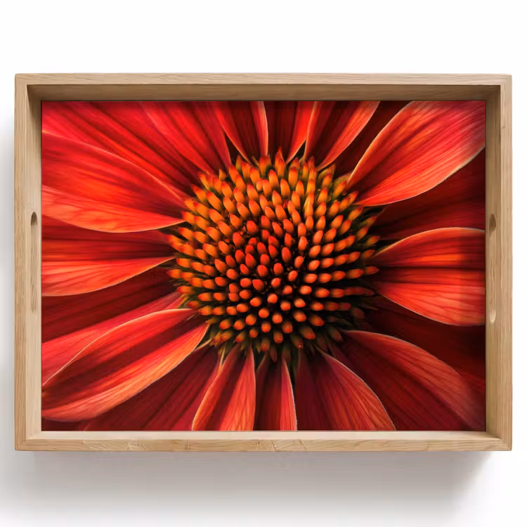 Plateau - Gros plan - Fleur - Rouge — 1